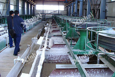 Fluorite (Fluorspar) Flotation Process