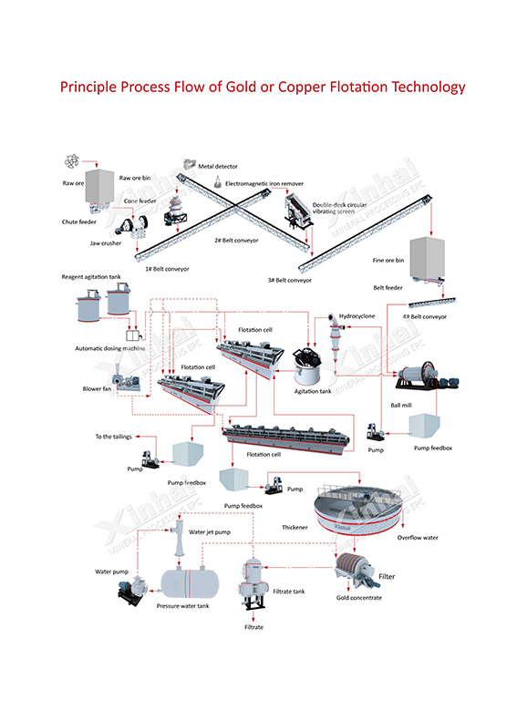 Gold Flotation Production Line