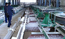 Fluorite (Fluorspar) Flotation Process