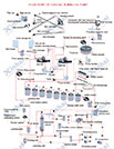 Gold CIL Processing Line