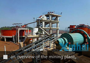 an overview of  Yantai Group Tanzania gold processing plant